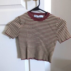 Zara crop top